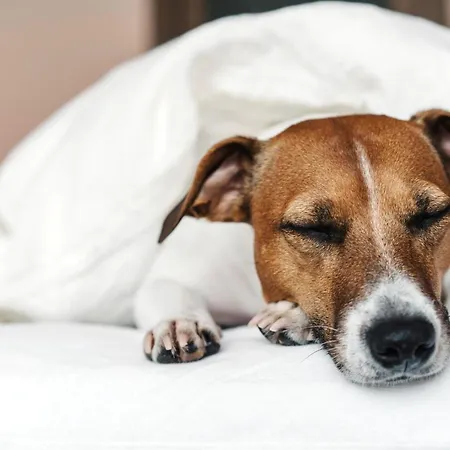 Hotel - The Niu, Coin Frankfurt Ostend By Ihg 3*