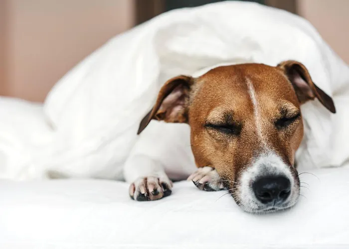 Szálloda - The Niu, Coin Frankfurt Ostend By Ihg 3*